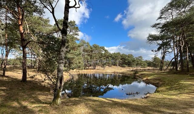 Landschap bij Lunteren